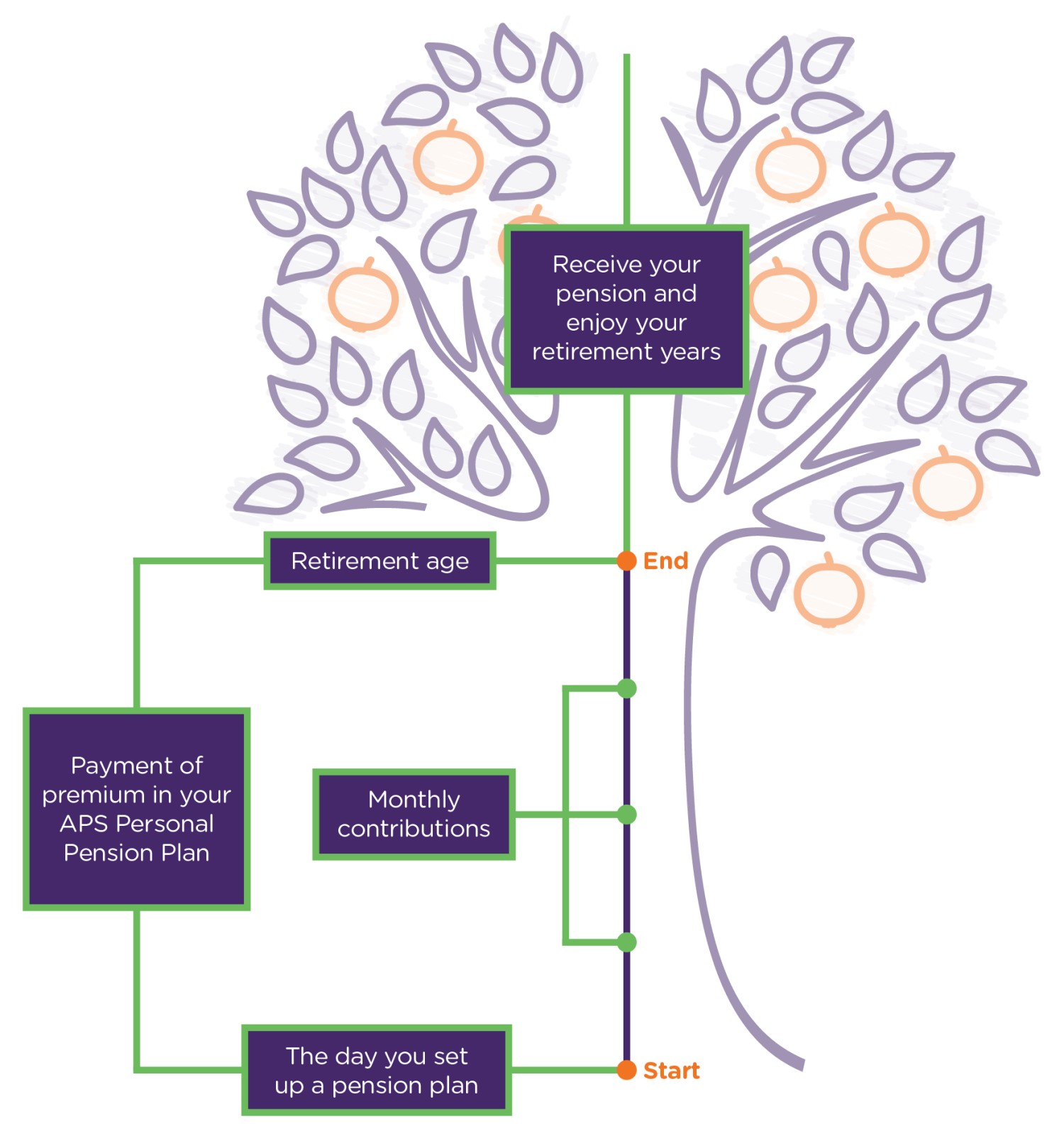 Your APS Pension Plan Journey